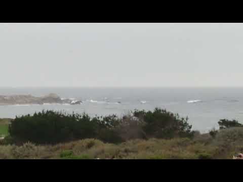 Inn at Spanish Bay - Bagpiper