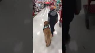 Landon & Apollo Day 3