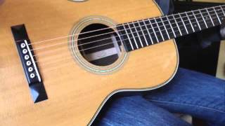 Video thumbnail for Eastman E20P vs Martin 00-28vs by Dan DeLyon