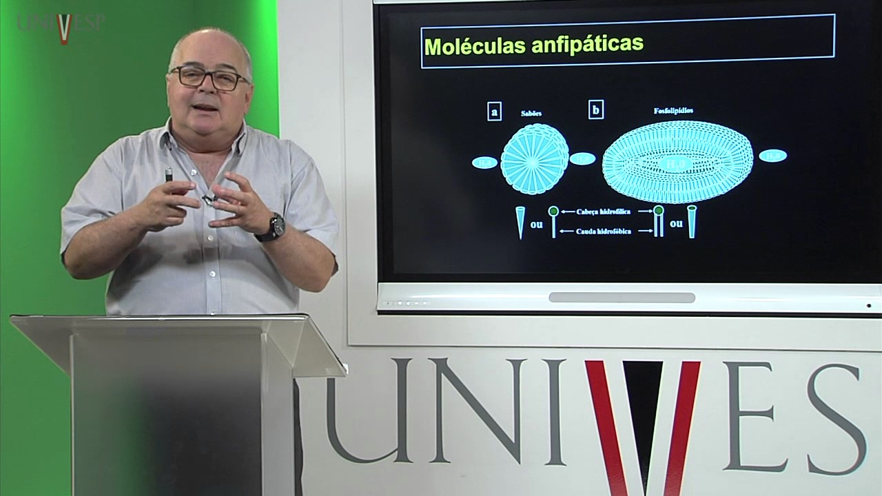 Bioquímica - Aula 01 - Apresentação