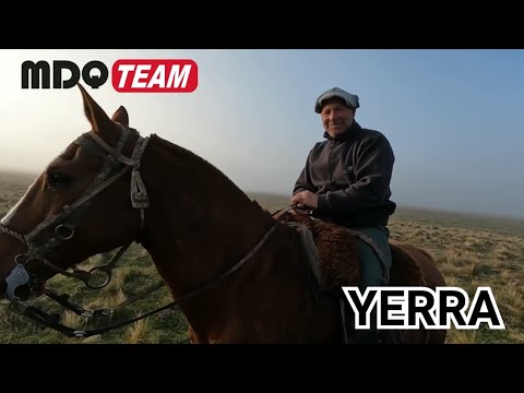 YERRA, vacunacion y pialada hay mucho trabajo en el campo