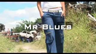 Mr blues.avi