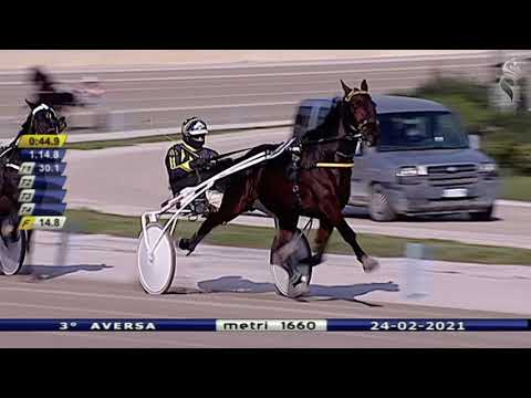 Aversa trotto 24 Febbraio 2021 - 3° Corsa