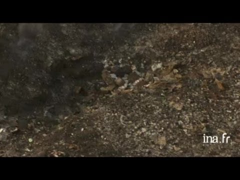 Vidéo