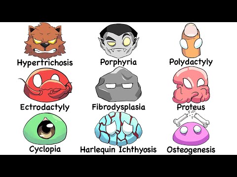 Every HUMAN Mutation Explained in 14 Minutes