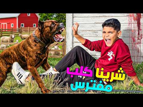 اشتريت ..كلب مفترس لولدي يونس🐶ولكن هجم عليه🚨(مفاجاة ولات كارثة😭)