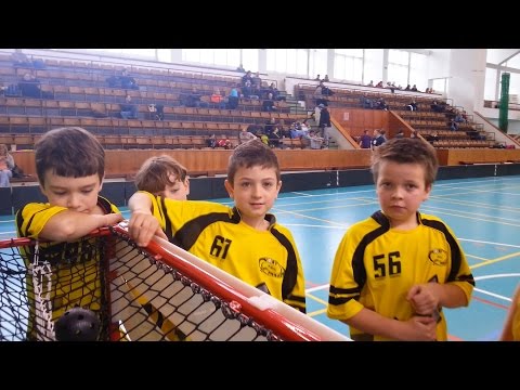 Vosy Praha - Pokřik hala Vinohrady /07.04.2013/