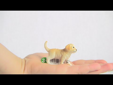 Schleich figūrėlė Auksaspalvis retriveris, mažylis video