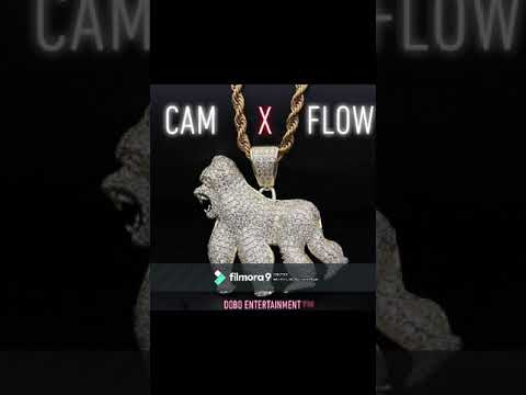 DOBOCam- Flow (Audio)