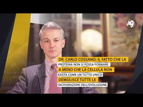 Poiché quello che molti parassiti hanno la struttura del corpo semplificata Come avvelenare vermi durante gravidanza