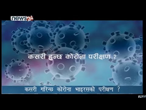 PRIME TIME 8 PM NEWS_2076_12_08 - NEWS24 TV