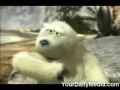Funny Polar Bears (Matess) - Známka: 1, váha: střední