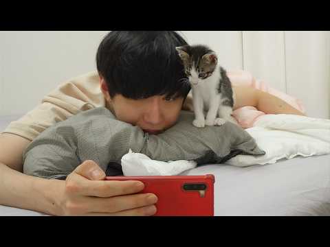 YouTube 썸네일