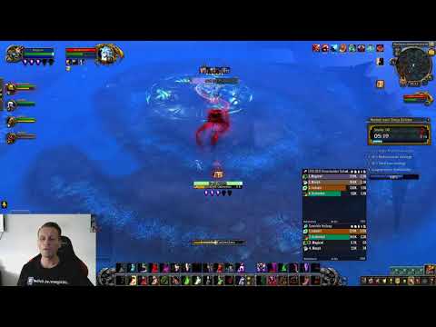 Nebelruferin | Dungeon Boss Guide | Nebel von Tirna Scithe (Mists of Tirna Scithe) | Folge#27