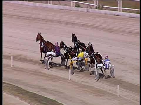 Trotto 30/09/2018 - 2ª prova di qualifica