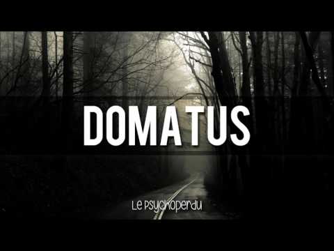 Domatus - Le Psychoperdu [Psytribe]