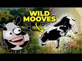 Where Does Epic Milk Come From