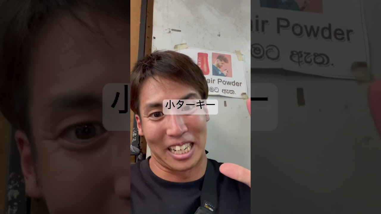 番外編小ターキー