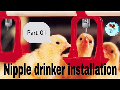, title : 'Nipple drinker installation, निप्पल ड्रीकर कैसे लगाएं How do make nipple drinker in broiler farm,'