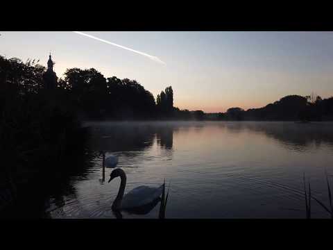 My Misty Mornings  Leuven 2020