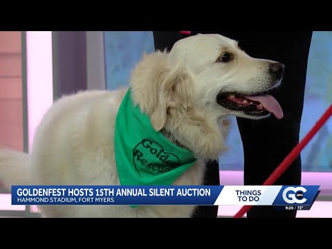 GoldenFest at Hammond Stadium offers fun for golden retriever fans - YouTube