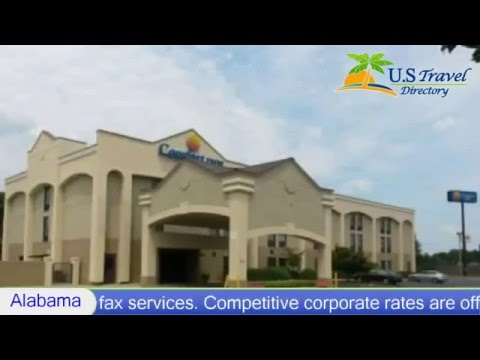 Comfort Inn Opelika - Auburn - Opelika, AL