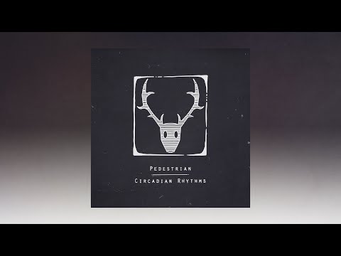 Pedestrian - JNT (ft. Maribou State) (Official Audio)