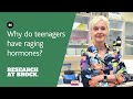 Why Do Teenagers Have Raging Hormones
