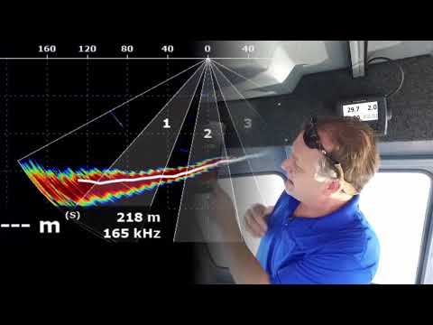 Discover the potential of the DFF3D when combined with TZ Professional