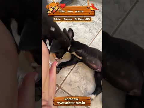 Vídeo de Não tem nome 