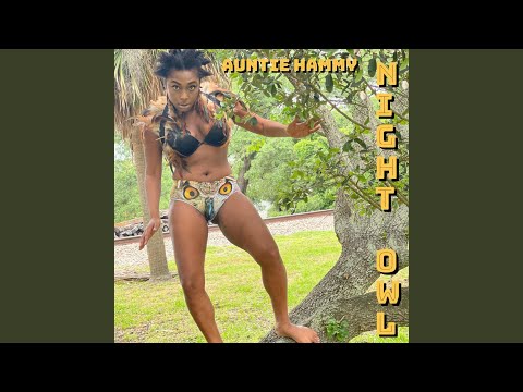 Download Auntie Hammy - Night Owl MP3
