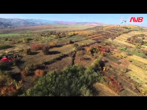 Recea, Gaiceana Bacau 2015