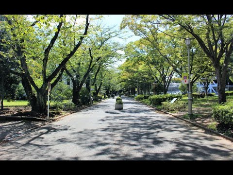 動画サムネイル