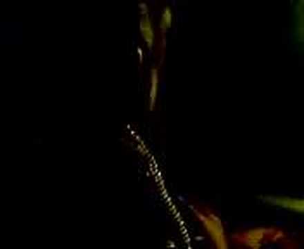 capeside man dem and smedrock bomma b b66 brapp