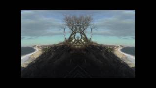 "A Great Tree" (excerpt from "The Origin")