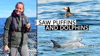 Spotting Dolphins in Scotland - Amazing Outer Hebrides Boat Trip
