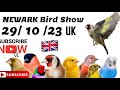 NEWARK bird show uk. Part  { 1 ].    29/10/23 نمايشگاه  پرندگان زينتي انگليس سال ٢٠٢٣ قسمت ١