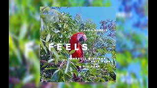 Download lagu Calvin Harris - Feels ft. Pharrell Williams, Katy Perry & Big Sean 528 Hz mp3 Download lagu Calvin Harris - Feels ft. Pharrell Williams, Katy Perry & Big Sean 528 Hz mp3