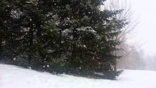 preview picture of video 'Classic spring snow, big flakes, light winds'