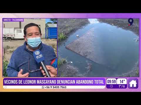 Malos olores y restos fecales continúan en Talcahuano pese a denuncias