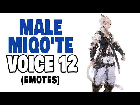 [FFXIV] Male Miqo'te Voice 12 (Emotes)