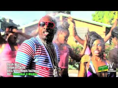 Dash Wata - Elephant man (Official Video)