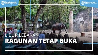 Ragunan Buka saat Libur Lebaran, Ini Daftar Akses Pintu Masuknya