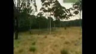 Aboriginal massacre in Australia (Three Rivers)