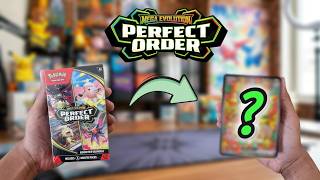 Is the PERFECT ORDER Booster Bundle actually worth it?