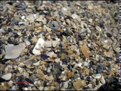 Nu ucide-ti cu pietre Claudia Danciu