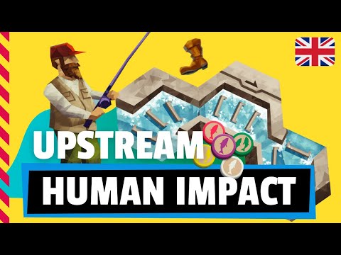UPSTREAM HUMAN IMPACT Expansion - Board game / Review / Tutorial / How to play (English)