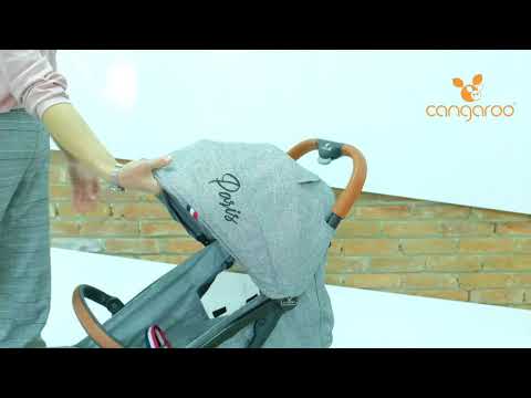 Carucior Sport Paris Cangaroo - Gri