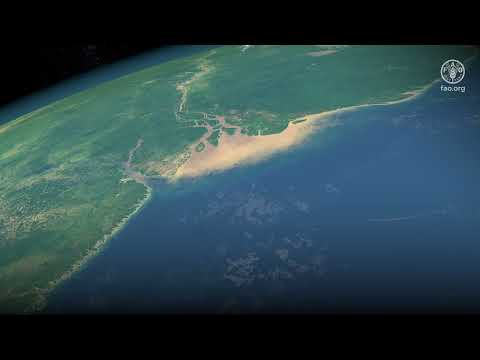 Brazilian Forest Service objectives: Interview with Marcus Vinicius Alves, Deputy Director-General