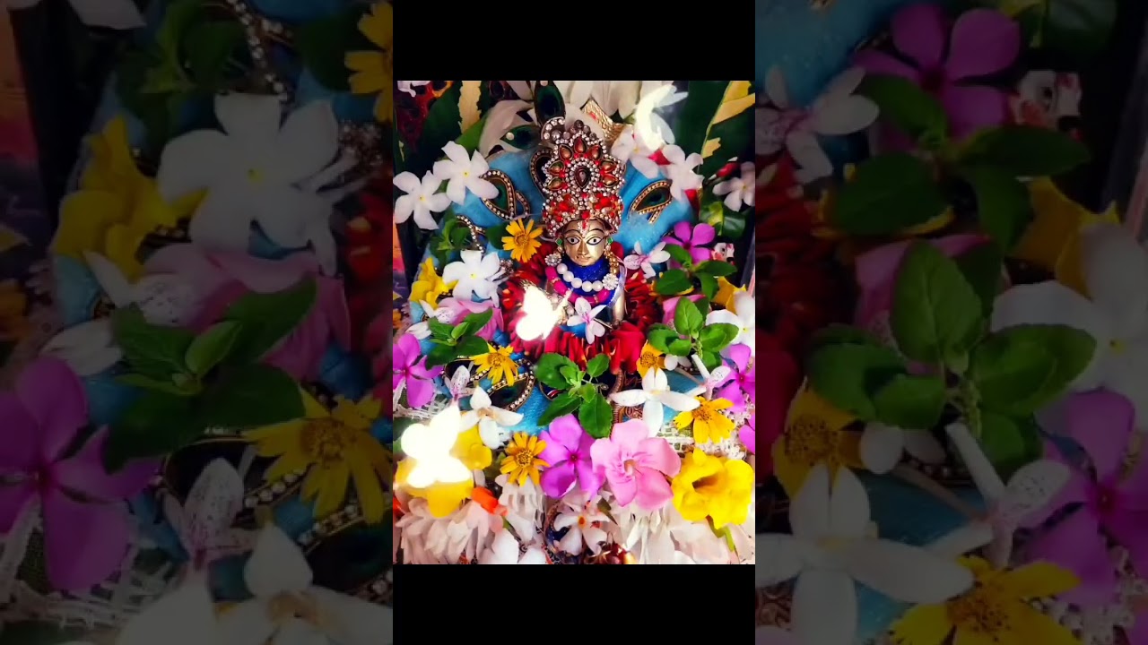 Joy Sree Radha Krishna 💐🙏# #youtubeshorts #shorts #shortvideo #viral #trending #radhakrishna #love 💐